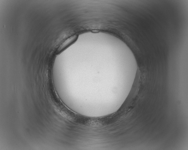 X0000076070207200610202023