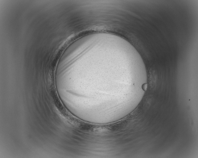 X0000076070208200610202023