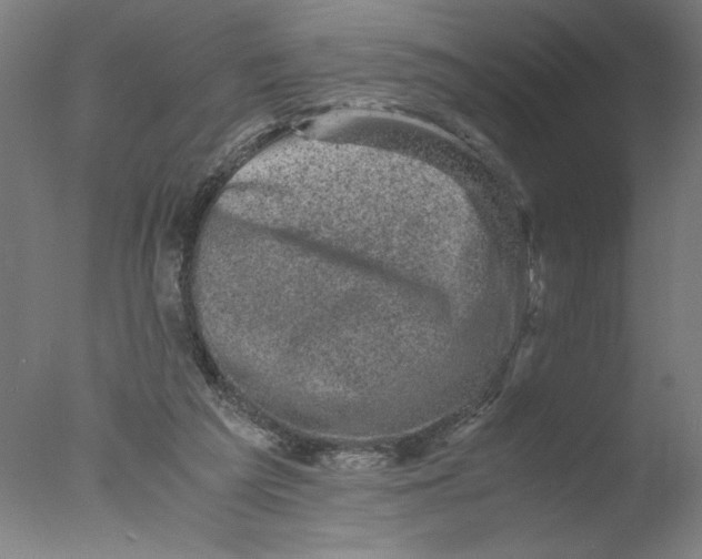 X0000076070209200610202023