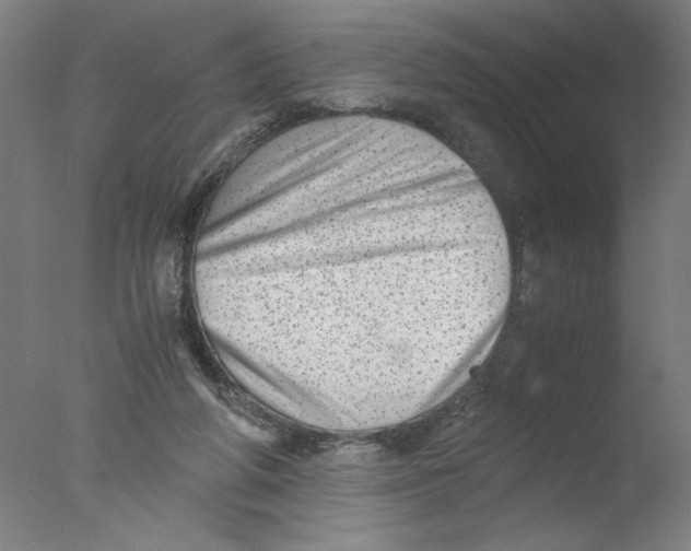 X0000076070210200610202023