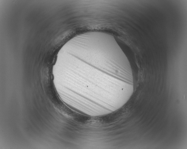 X0000076070211200610202023