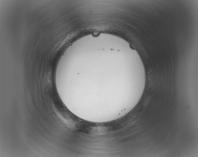 X0000076070212200610202023