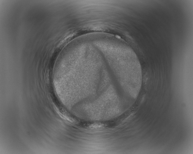 X0000076070213200610202023