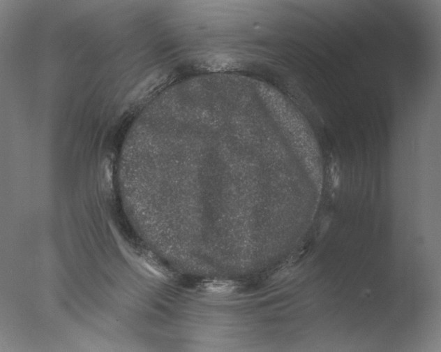 X0000076070214200610202023