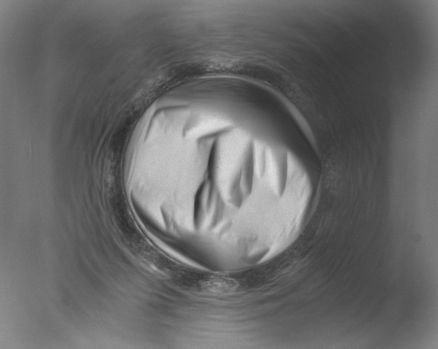 X0000076070215200610202023