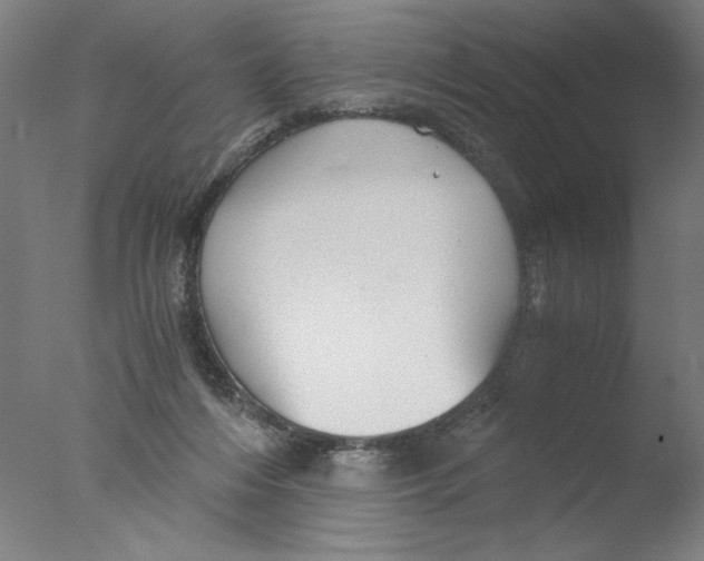 X0000076070216200610202023