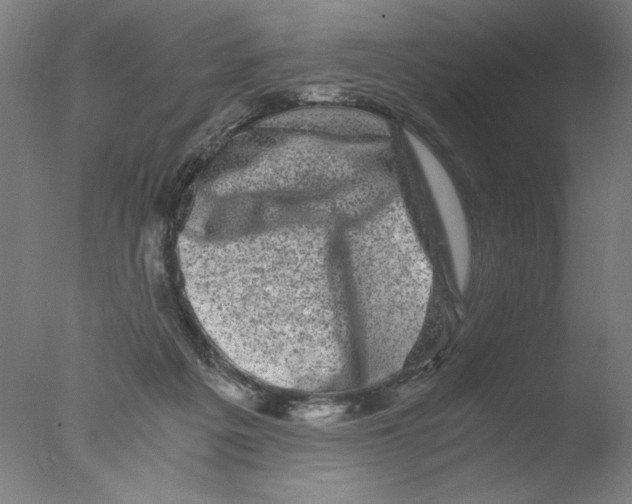 X0000076070217200610202023