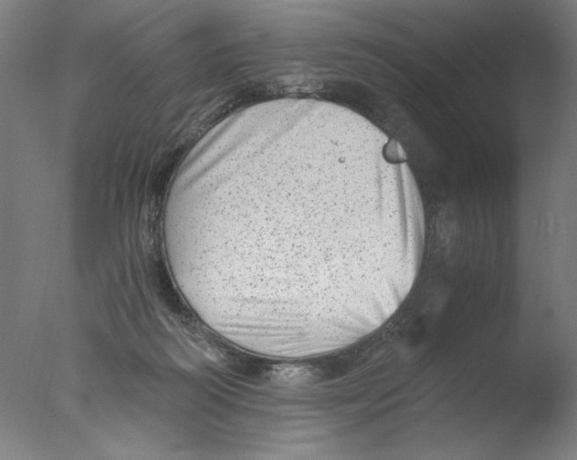 X0000076070218200610202022