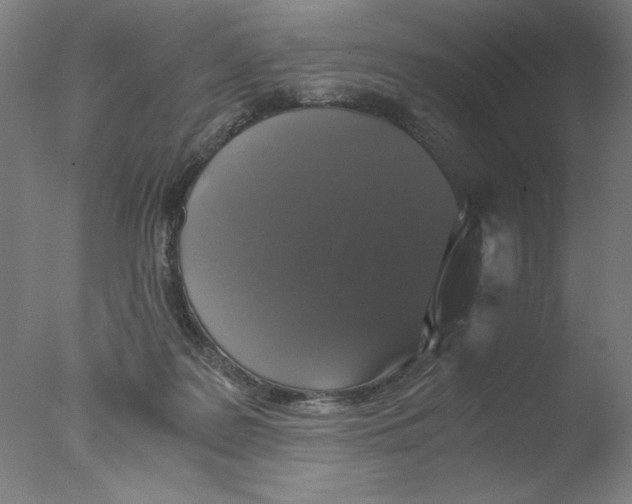 X0000076070219200610202022