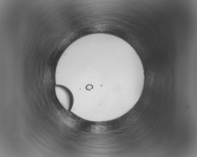 X0000076070220200610202022