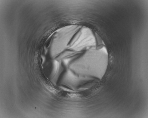 X0000076070221200610202022