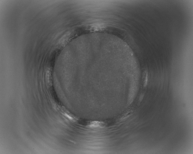 X0000076070222200610202022