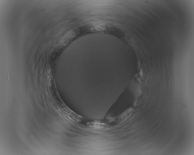 X0000076070223200610202022