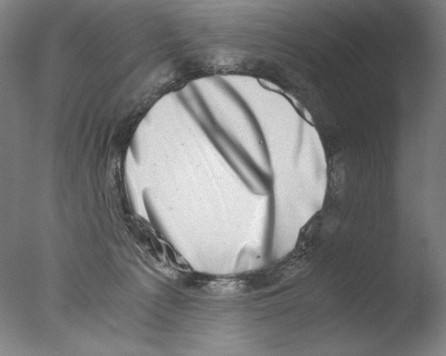 X0000076070225200610202022