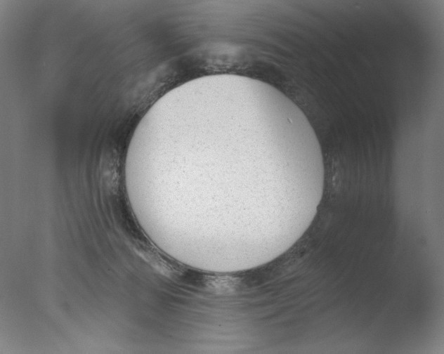 X0000076070226200610202022