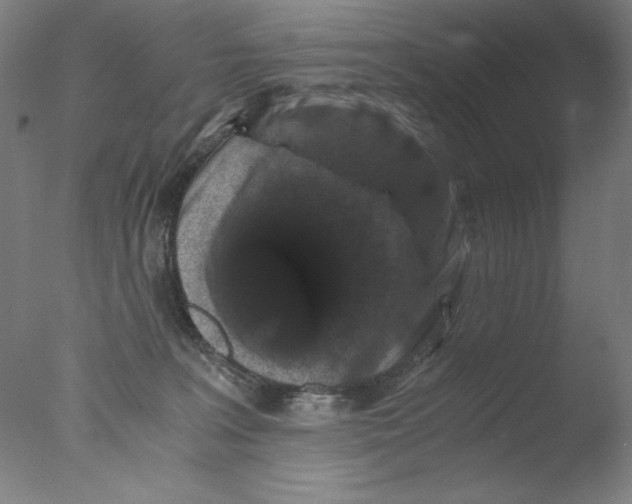 X0000076070227200610202022