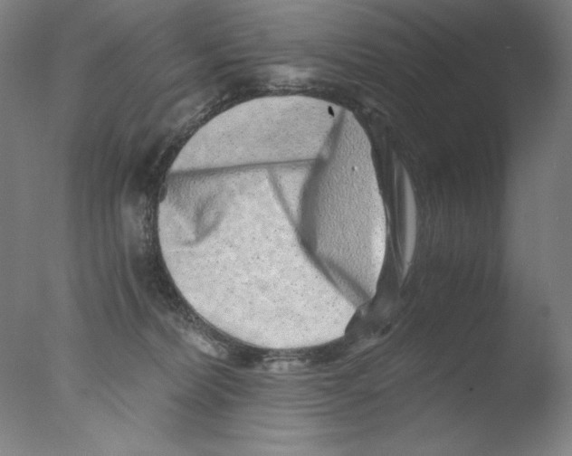 X0000076070228200610202022