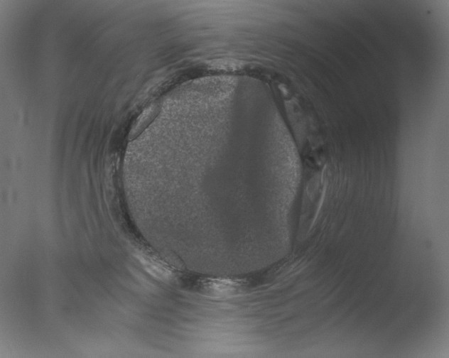 X0000076070229200610202022