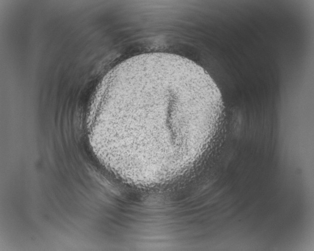 X0000076070230200610202022