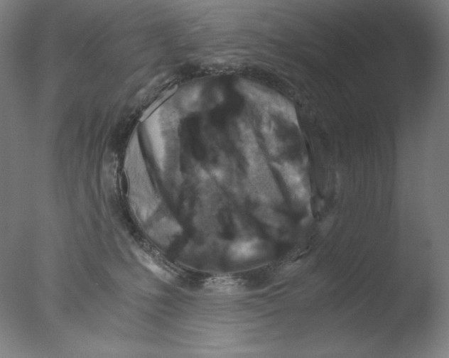 X0000076070231200610202022