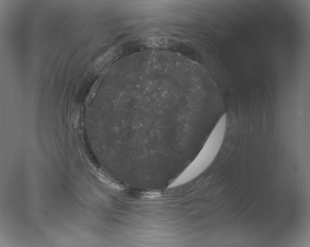 X0000076070233200610202022