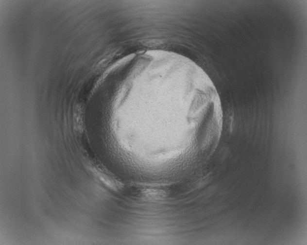 X0000076070234200610202022