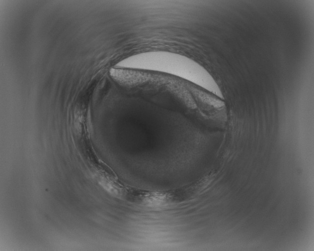 X0000076070235200610202022