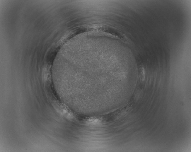 X0000076070236200610202022