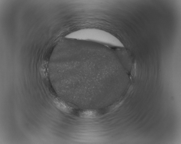 X0000076070237200610202022