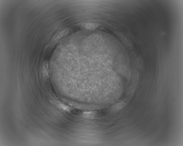 X0000076070240200610202022