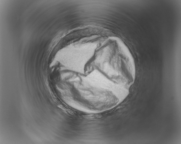 X0000076070241200610202021