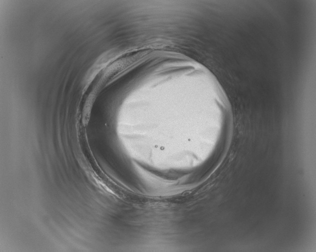 X0000076070242200610202021