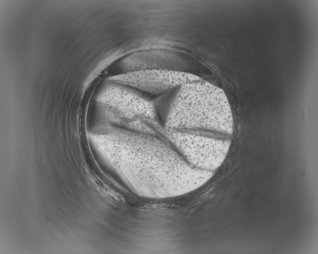 X0000076070244200610202021