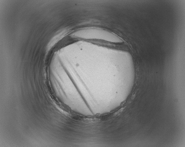 X0000076070245200610202021