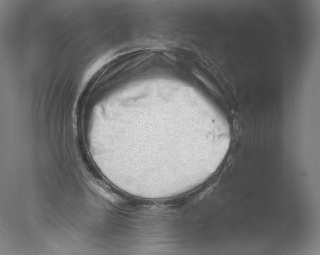 X0000076070246200610202021