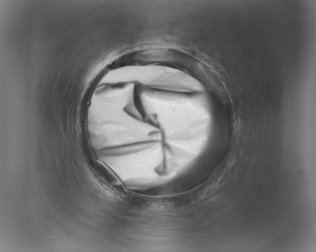 X0000076070248200610202021