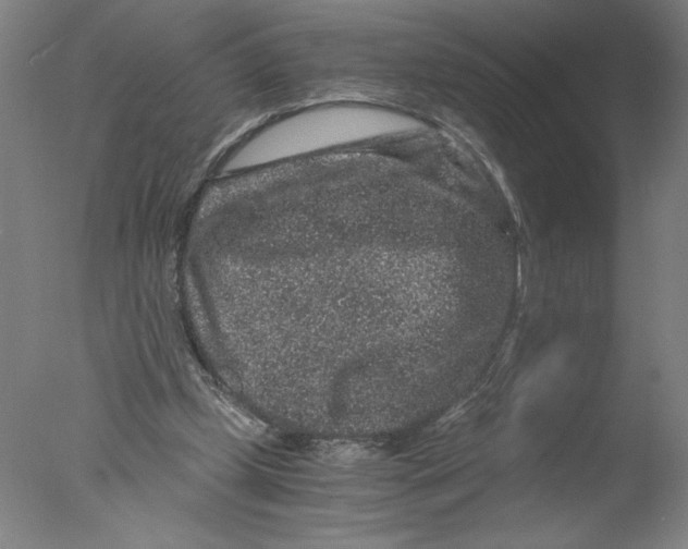 X0000076070249200610202021