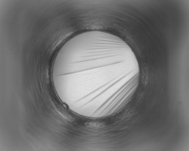 X0000076070251200610202021