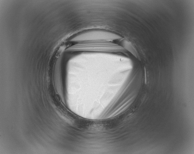 X0000076070252200610202021