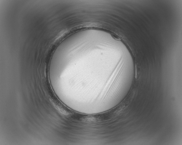 X0000076070253200610202022