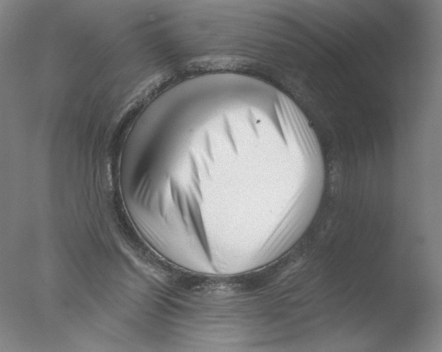 X0000076070254200610202022