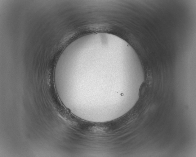 X0000076070255200610202022