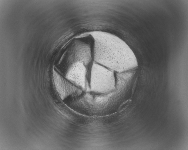 X0000076070258200610202022