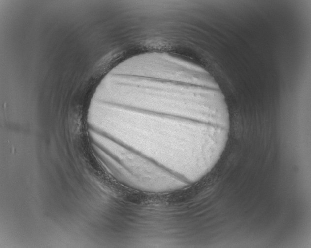 X0000076070259200610202022