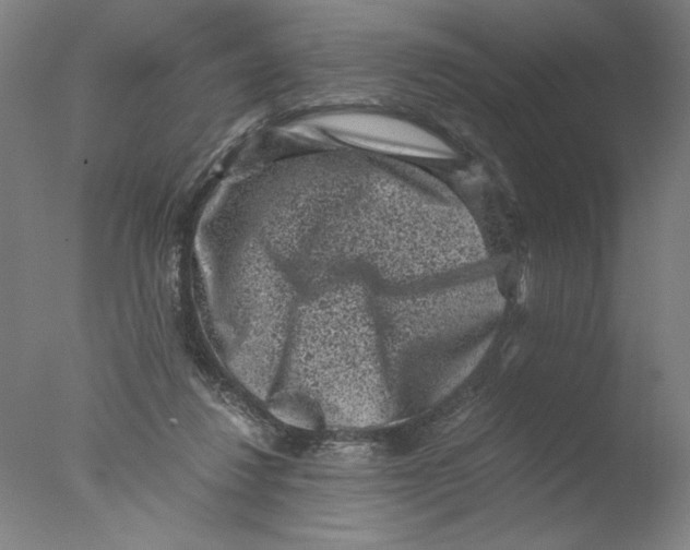 X0000076070260200610202022