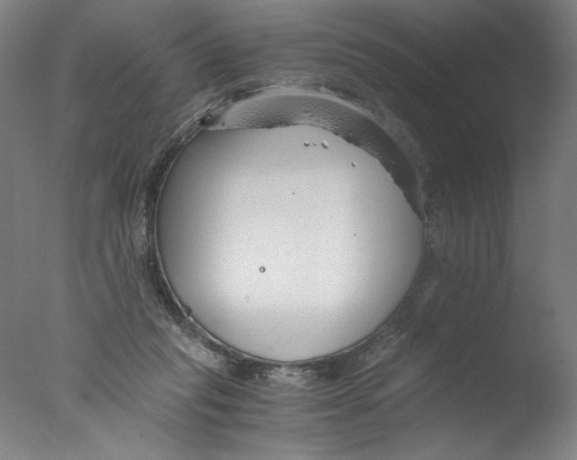 X0000076070261200610202022