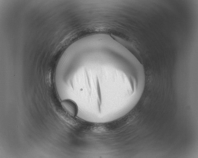 X0000076070262200610202022