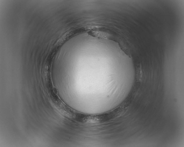 X0000076070263200610202022