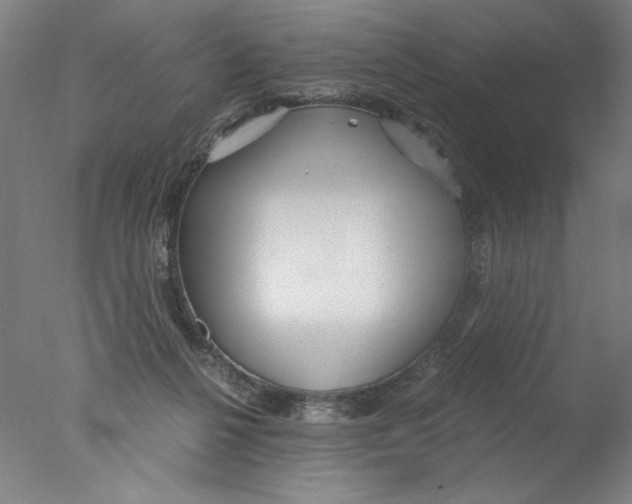 X0000076070264200610202022