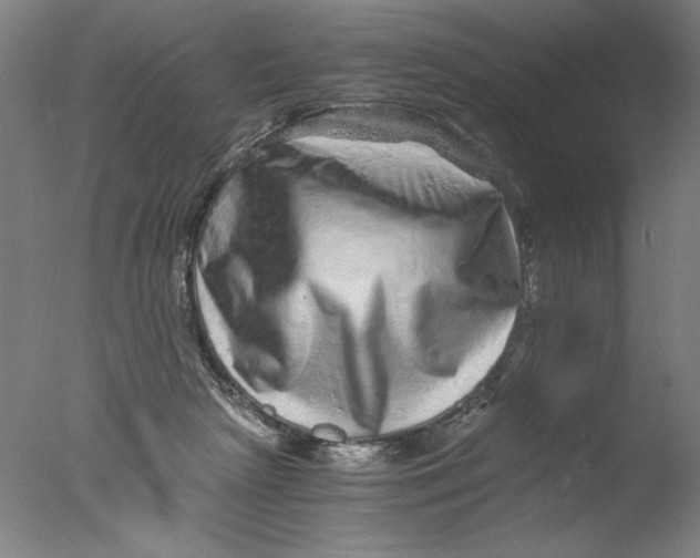 X0000076070265200610202022